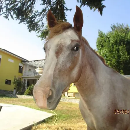 Avventura E Relax A 2 公寓