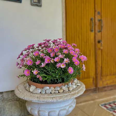 Daire Avventura E Relax A 2